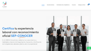 Acerca consultores